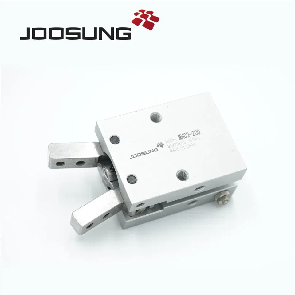 Classification digito cylindrici